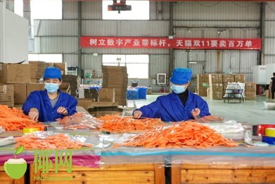 火爆！天貓雙十一小家電銷量巨增，日用百貨掀起消費熱潮